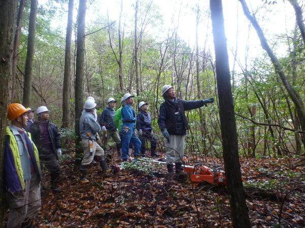 広葉樹林整備をしていて受講生達に説明している写真